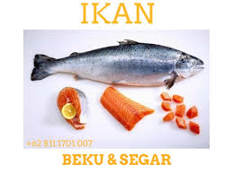 Jual beli buku online recently listed new products on. Ready 62 811 1701 007 Jual Beli Ikan Salmon In English Beku