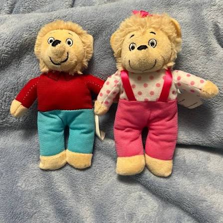 PBS Kids The Berenstain Bears Brother & | Mercari