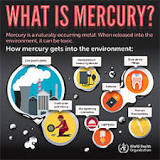 Image result for what blood mercury levels are toxic and require treatment