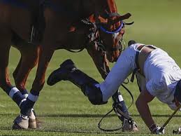 Resultado de imagem para DILMA CAINDO DO CAVALO