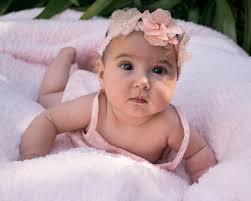 Williamstown Camera Club — News — Competition Winners: Patterns, Open and  Novice