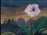 Robin parviendra à s'échapper des flammes mais ne pourra sauver ses parents, qui périssent dans la fournaise. Les Aventures De Robin Des Bois Le Manga En Streaming Dessins Animes Les Aventures De Robin Des Bois Le Manga
