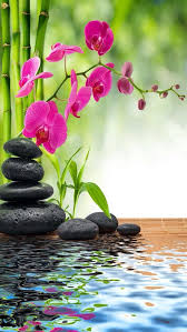 Epingle Par Ivan Irocom Sur Spa Fond Ecran Zen Peinture Zen Fond D Ecran Orchidee