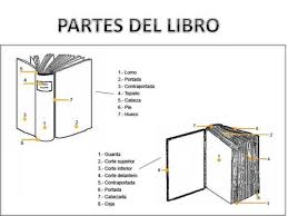 La magia empieza ahí en el preciso momento en que el niño abre un libro. Dibuja Un Libri Con Sus Partes Partes Del Libro Estructura Externa
