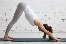 Yoga Indoors Downward Facing Dog Pose Your Sight Matters