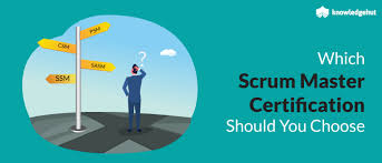 Can be a ssm in a personal healthcare service. Csm Psm Ssm Sasm What Scrum Master Course Do I Choose