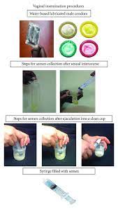 Steps For Vaginal Insemination Of Semen 1 On A Fertile Day Of The Download Scientific Diagram