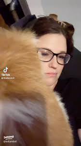 Where I Fits: Adorable Snuggling Cats