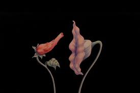 See more ideas about pink floyd tattoo, pink floyd, floyd. Gerald Scarfe On Working With Pink Floyd On The Wall