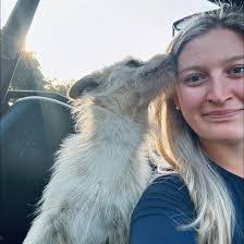 Sarah Beagle's Instagram, Twitter & Facebook