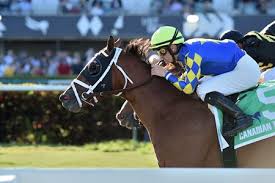 Score even bigger bargains when you include extras such as sightseeing tours to your booking. Sombeyay Looks For Second Graded Turf Score In Appleton Bloodhorse