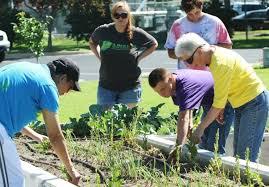 News, email and search are just the beginning. Food Bank Reaping Produce Sown By Jewish Federation Of Tulsa Archive Tulsaworld Com