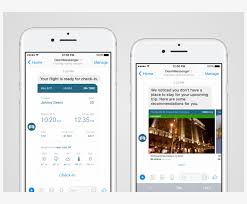 Bots area unit arguably the most effective and most powerful methodology of obtaining additional resources, research, troops and gems within the game. Facebook Messenger Bot Chat Bubbles Mobile App Travel Iphone Transparent Png 800x600 Free Download On Nicepng