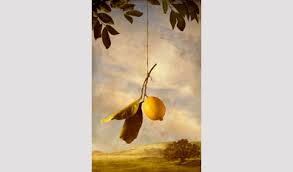 From Lemons to Lingerie by Linda Ingraham & Tom Eckert