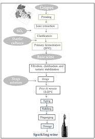 Fermentation Free Full Text Starter Cultures For