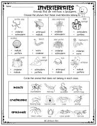 Entdecke rezepte, einrichtungsideen, stilinterpretationen und andere ideen zum ausprobieren. Work Sheet On Introduction To Inverta Brate Vertebrate Animals English Esl Worksheets For Distance Science Invertebrate Worksheets I Abcteach Provides Over 49 000 Worksheets Page 1 Danang Dewantara