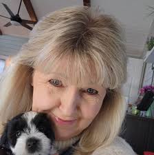 Looking for a dog groomer with availability in Decatur, AL?