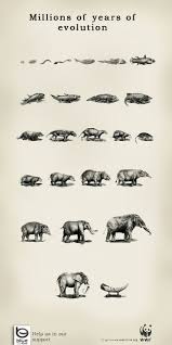 Bio E World Help In Our Support Against Poaching Zoogdieren Olifanten Illustratie
