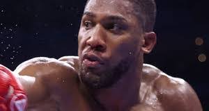 Paul Iannuzzi's Instagram, Twitter & Facebook