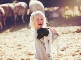 Ideal para practicar senderismo y esquí. Casas Rurales Con Granja Una Opcion Perfecta En Familia Casa Rural El Paraiso