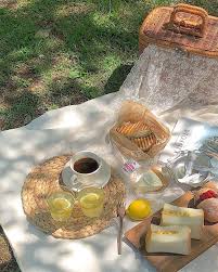 A R I E L Picnic Inspiration Picnic Date Picnic