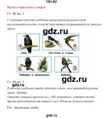 окружающий мир 2 класс рабочая тетрадь ответы плешаков новицкая Gdz Chast 2 Stranica 48 Okruzhayushij Mir 2 Klass Rabochaya Tetrad Pleshakov Novickaya