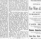 Image result for Robert Wilcox conspirator article by amelia gora