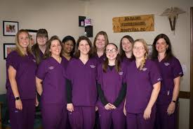 She and her staff show amazing care and adaptability in their approach to veterinary care. D Adamo Veterinary Hospital Veterinarian In Livonia Mi Us Meet The Team D Adamo Veterinary Hospital Veterinarian In Livonia Mi Us