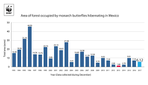 total area occupied by monarch colonies at overwintering