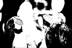 Image Processing On Fpga Using Verilog Hdl