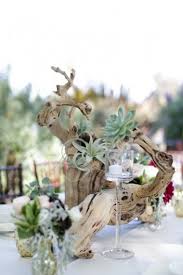 A Nature Inspired Oceanside Wedding Every Last Detail Driftwood Wedding Centerpieces Air Plants Wedding Succulent Wedding Centerpieces