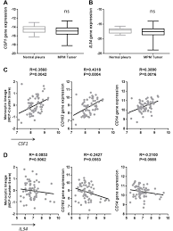The application of tailored treatments may increase the efficacy of therapies. Involvement Of The M Csf Il 34 Csf 1r Pathway In Malignant Pleural Mesothelioma Journal For Immunotherapy Of Cancer