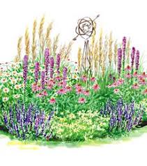 Pin By Carolyn Dorsey On Deer Resistant Gardens Deer Resistant Garden Deer Resistant Perennials Deer Resistant Plants