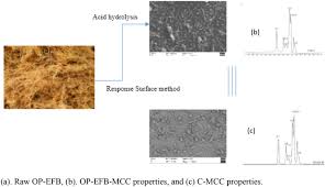 Efb fibres were used in the form of mats where it was 29. Optimizing The Acid Hydrolysis Process For The Isolation Of Microcrystalline Cellulose From Oil Palm Empty Fruit Bunches Using Response Surface Methods Springerlink
