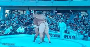 His tighty whities were up to his shoulder blades. Vaya Gif Para Los Que Creian Que El Sumo Solo Consistia En Empujones