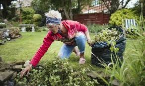 How to eliminate weeds in your garden. When To Start Weeding Your Garden The Best Way To Get Rid Of Weeds Express Co Uk