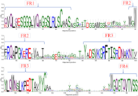 I try to add the rule in the.eslintrc, but it does not work. Discrete Analysis Of Camelid Variable Domains Sequences Structures And In Silico Structure Prediction Peerj