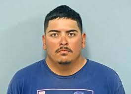 Man accused of leaving dogs to die inside Brighton apartment is charged  with animal cruelty