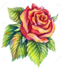 Flowers Drawings Inspiration 35 Beautiful Flower Drawings And Realistic Color Pencil Drawings Flowers Tn Leading Flowers Magazine Daily Beautiful Flowers For All Occasions