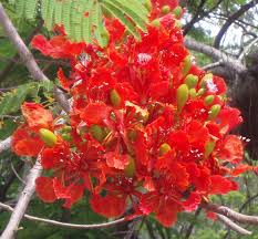 Florida is a state located in the southeastern region of the united states. Late Spring In Florida A Full Time Life