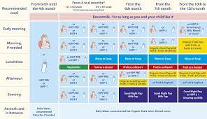 Weaning Baby At 4 Months On Sale 56 Off Www Ingeniovirtual Com