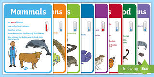 Place each card in the appropriate mother or baby group. Educational Games Matching Game Posters Flash Cards Animal Types Carnivore Herbivore Omnivore Toys Games