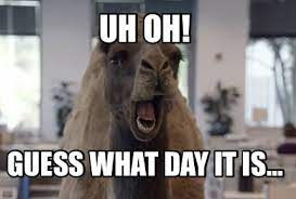 Find and save camel guess what day it is memes | from instagram, facebook, tumblr, twitter & more. Meme Maker Uh Oh Guess What Day It Is Meme Generator