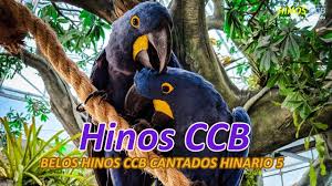 / cânticos ccb, o maior e melhor site com conteúdo evangélico totalmente gratuito, hinos da congregação cristã no brasil, relatório ccb, testemunhos, fotos de igrejas, tocados, orquestrados. Hinos Ccb Louvores De Adoracao Hinos Ccb 2021 Hinos Ccb Cantados Hinario 5 Hinos Ccb Louvores De Adoracao Facebook