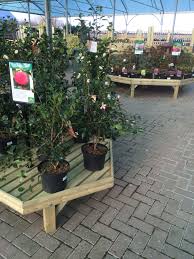 Under Cover Plant Nursery Garden Center Plants