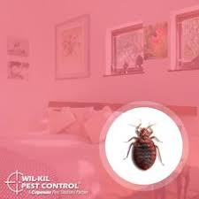 1828 e wisconsin ave appleton, wi 54911. Wil Kil Pest Control Takingcareofbuzzness Profile Pinterest
