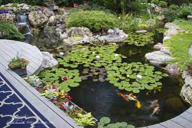 Jun 04, 2020 · a koi pond can be a beautiful, calming addition to your garden or your backyard. Koi Ponds And Water Gardens Water Features By Aquascape