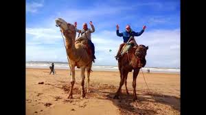 Take your time and enjoy a relaxing journey from marrakech with historic sites across the desert to the dades gorge. Essaouira Beach Camel Ride Youtube