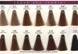 Yakilmak Konu Yagisli Palette 7 1 Asil Kumral Kullananlar Friendsforriverside Org