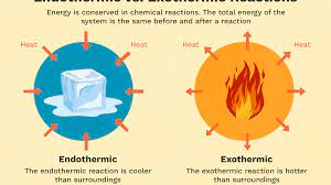 Endothermic And Exothermic Chemical Reactions